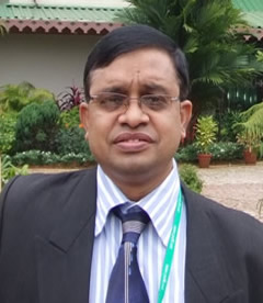Professor Dr. Sharkar Md Numan